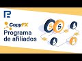 Programa de afiliados en CopyFX | RoboForex