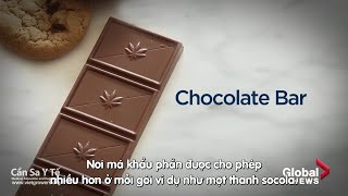 Những điều bạn cần biết về cần sa edible 🍪