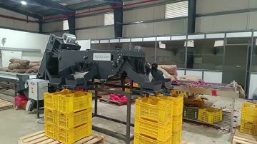 Onion Grading Machine | कांदा ग्रेडिंग मशीन
