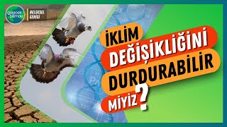 GelecekBilimde Belgesel Serisi: İklim Değişikliği by Gelecek Bilimde 1,250 views 1 month ago 45 minutes