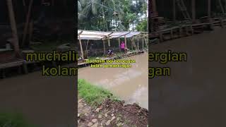 melihat keindahan alam di dekat kolam pemancingan