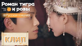 Она внезапно его поцеловала💞Роман тигра и розы【Русская озвучка】传闻中的陈芊芊【Чжао Лусы,Дин Юйси】