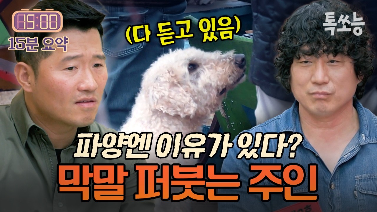 “이러니 파양되지” 반려견에 폭언한 주인ㄷㄷ;; | 