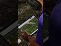 iPad Teams Up with College Football 🏉📱