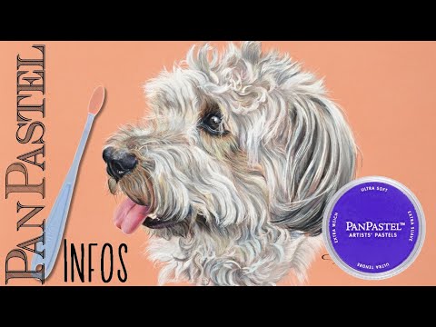 Vidéo: Pastel Quiz: 10 Façons De Repérer Un Artiste Pastel