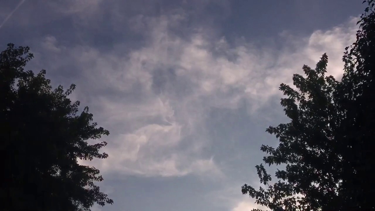 Winged beings! Mind blowingly Beautiful! - YouTube