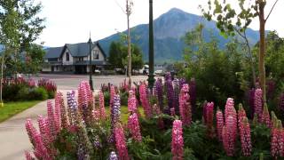 Town of Crested Butte | Colorado | Area Tour