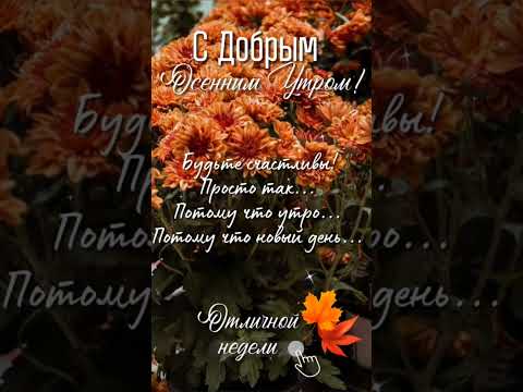 Доброе утро☀ 🌝⏰ С Добрым утром! #музыкальнаяоткрытка #youtubeshorts #доброеутро #сдобрымутром