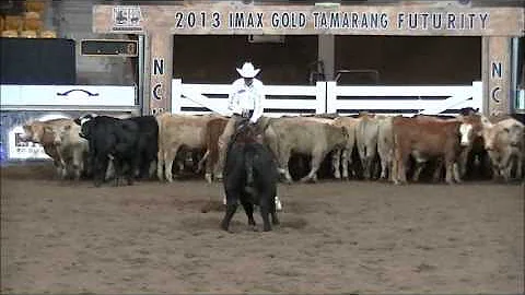 NCHA Open Derby Final. Jason Leitch & Katastic.