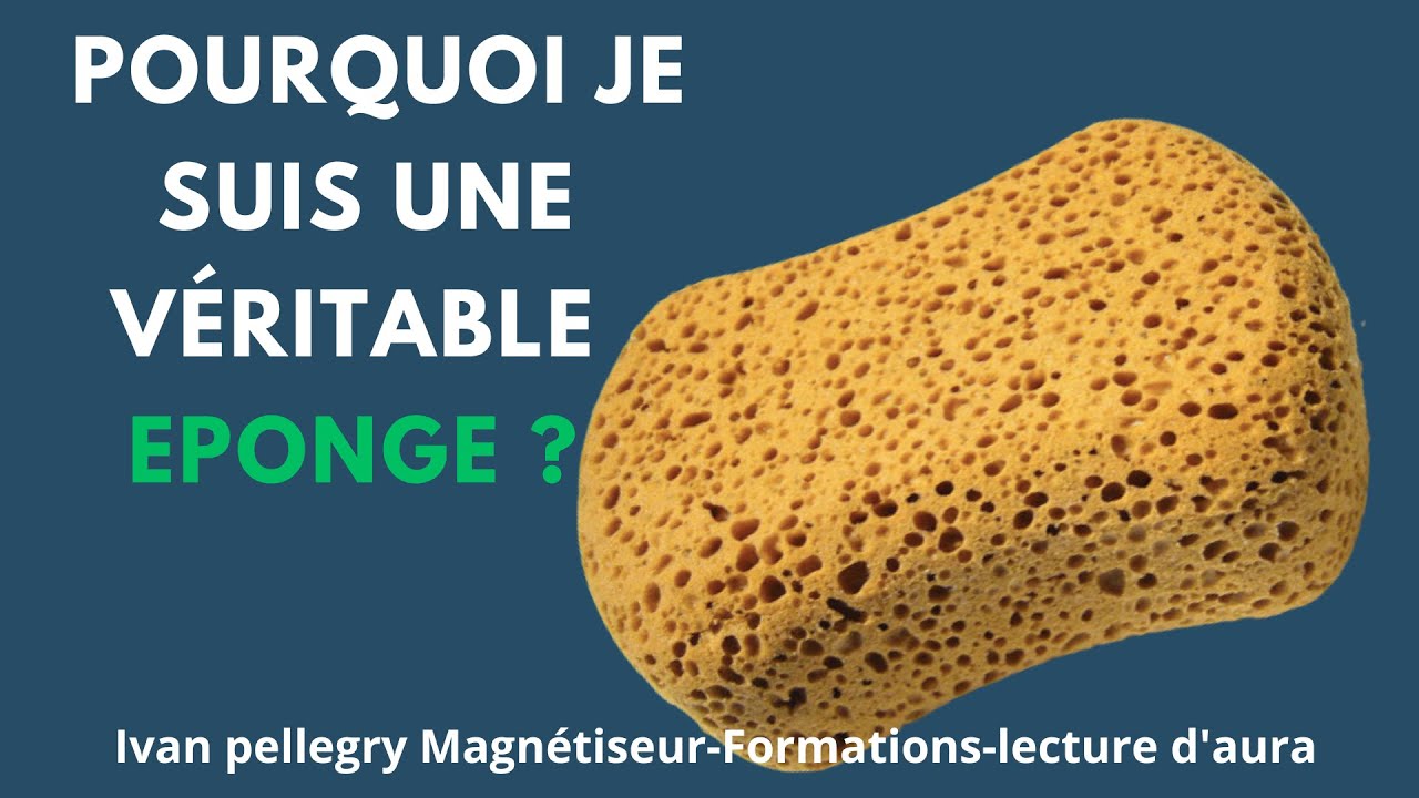 État Éponge
