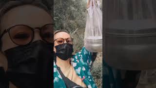 #8209 Jungle vibes