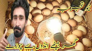 how to turn eggs in an incubator || how to make incubator at home