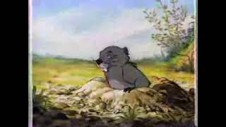 Dateline Disney Winnie the Pooh