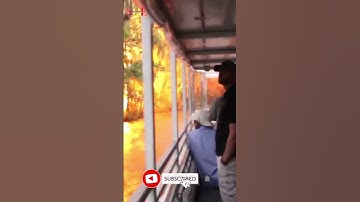 MOST TERRIFYING LIGHTNING STRIKES #shortsvideo #