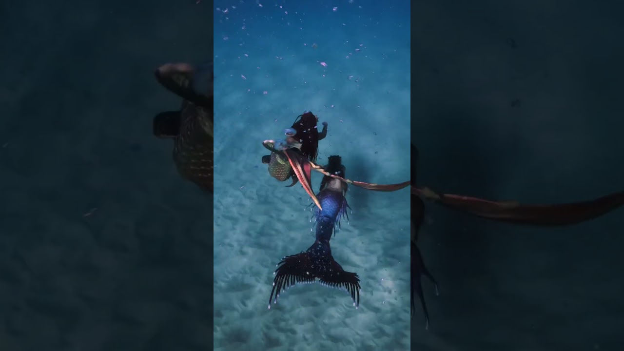 Mermaid friends swimming in the ocean 🧜🏼‍♀️🧜🏾‍♀️  