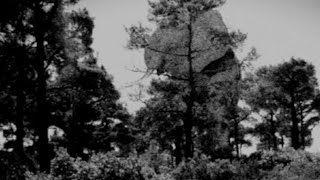 Historical Cyclops [December, 1961] (Vocalizations)