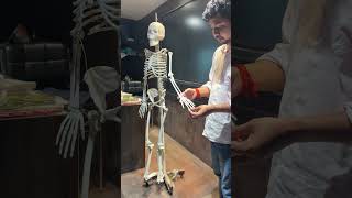 Bones of forelimb | class 11