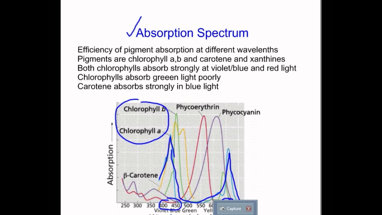 Absorption Spectrum - YouTube