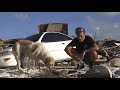 Dog spotted by drone and rescued in Bahamas after Hurricane Dorian - By Douglas Thron Infrared