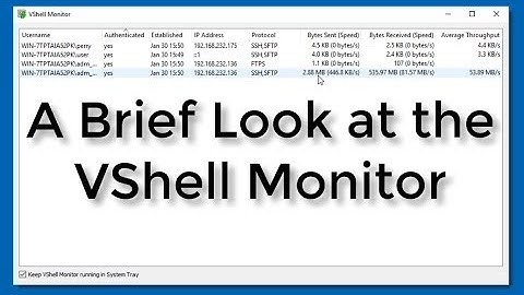 The VShell Monitor