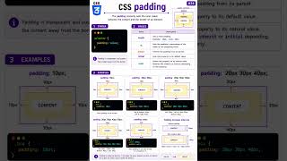 Full CSS Padding Property Explained 🔥 #shorts #css #padding #html #frontend #cssshorts Update