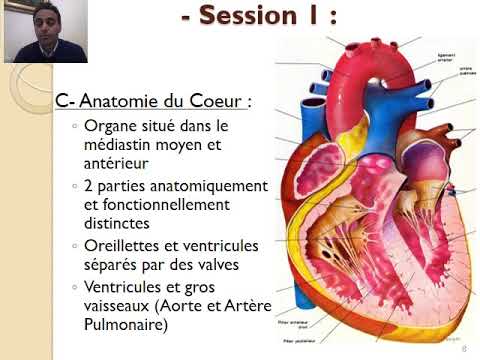 Video: Type D-persoonlijkheid Is Een Voorspeller Van Langdurige Acute Hersendisfunctie (delirium / Coma) Na Cardiovasculaire Chirurgie