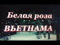 Белая роза Вьетнама