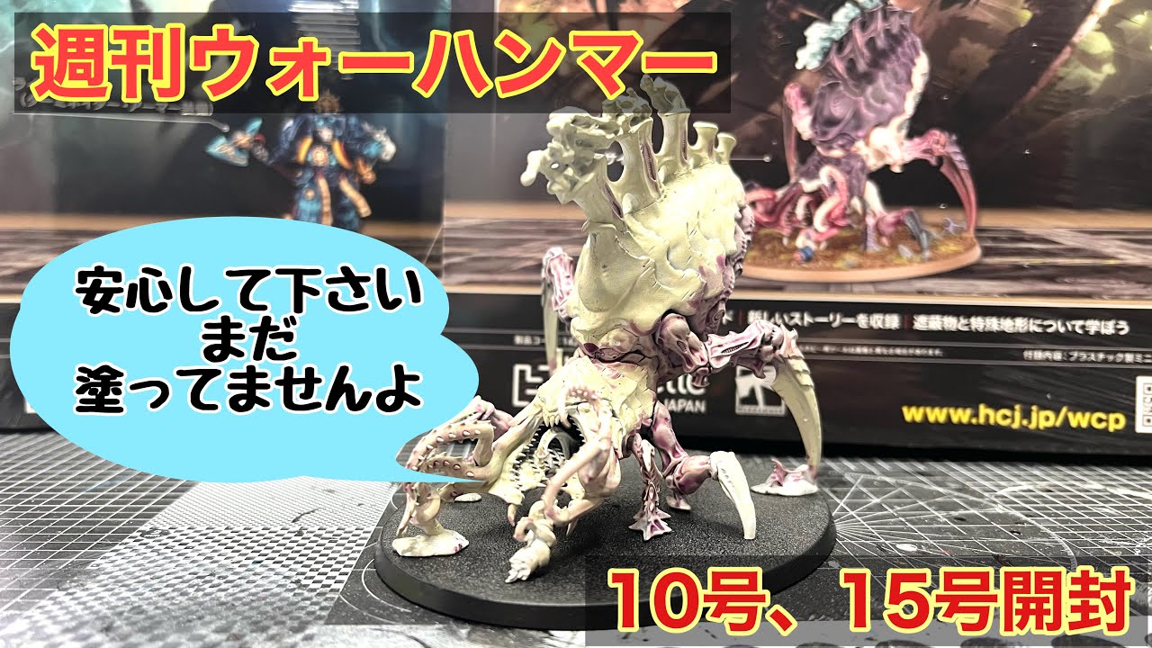 【WH40k】ウォーハンマー40,000：コンバットパトロール10,15号開封！