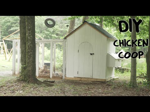 DIY Chicken Coop for 10 Chickens | Chicken Coops Designs