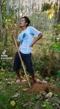 Anda Sakit Urat  Jangan Risau Ketum Ada 😅😂