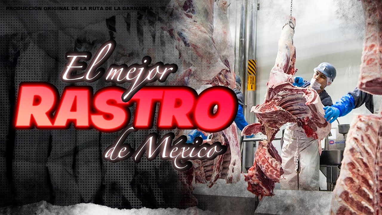 Este es el MEJOR RASTRO de todo MÉXICO 🇲🇽🐷 - YouTube