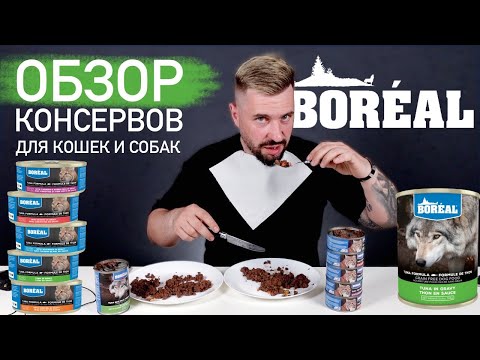 Консервы для кошек и собак из Тайланда | Влажный корм Boreal | Обзор корма