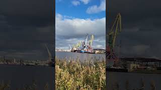 г.Калининград,  Калининградская область