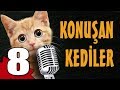 Konuşan Kediler 8 - En Komik Kedi Videoları