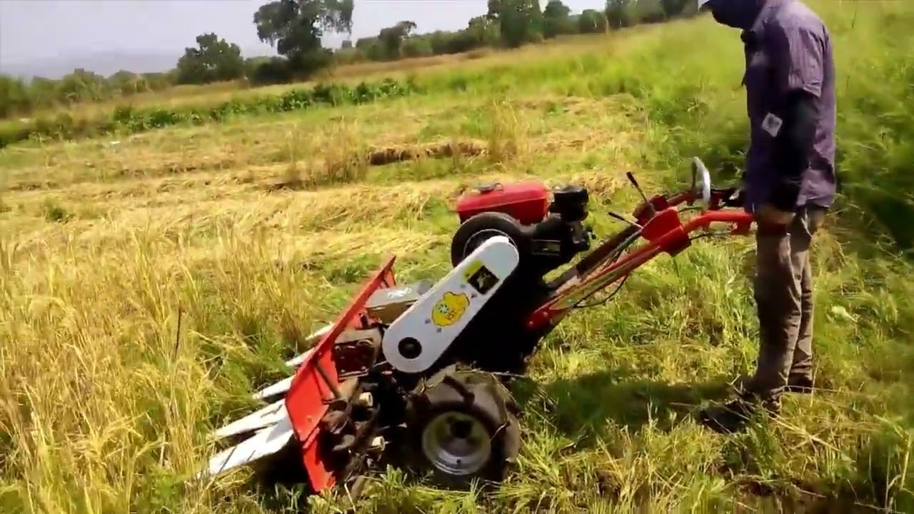 Faucheuse De Riz , De Blé