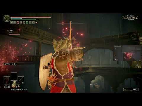 【#2-194】ハカハカしながらエルデンリング2週目DLC【PS5】