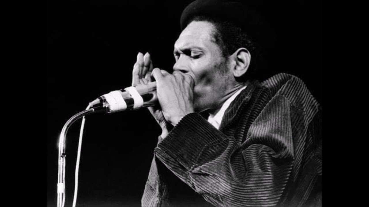Big Walter Horton feat. Carey Bell Live at Joe's Place, Cambridge