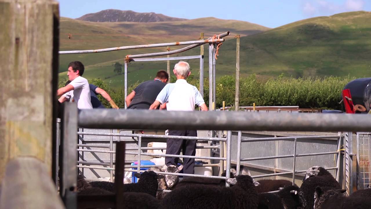 Prince's Countryside Fund - Hampshire Charcuterie