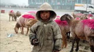 Söz Müzi̇k Nazim Kaya Nazli Yarim Yorum Ibrahi̇m Güzelses