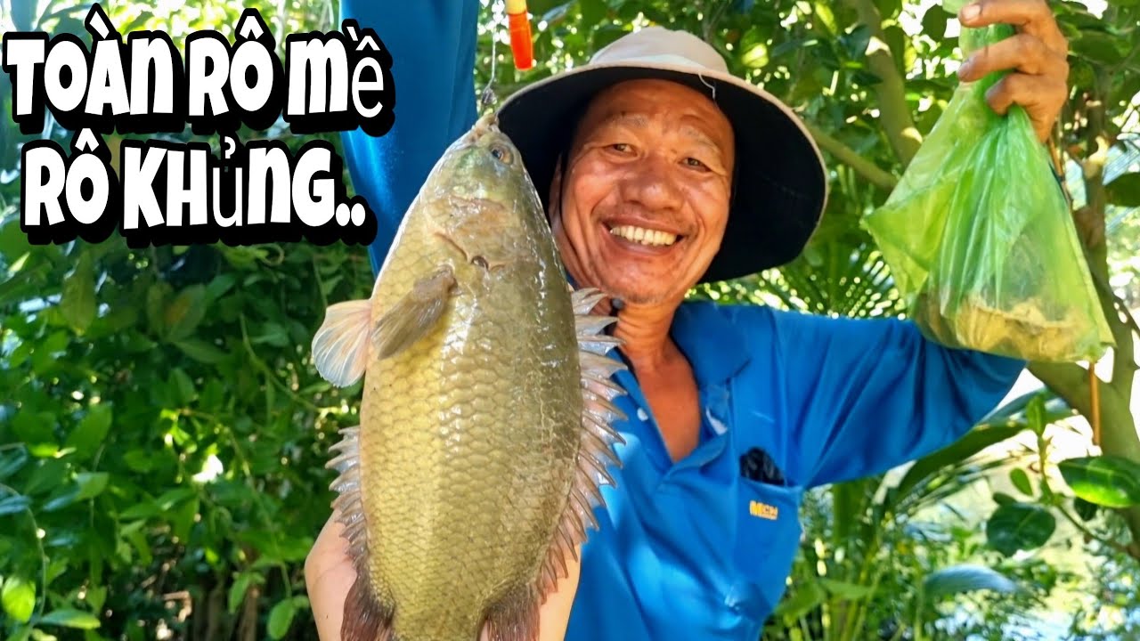 Tập 83 - Quá Khủng Khiếp Trúng Luồng Cá Lớn Câu Đầy Thùng Cá Vẫn Chưa Chịu Về | Câu Cá Rô Đồng