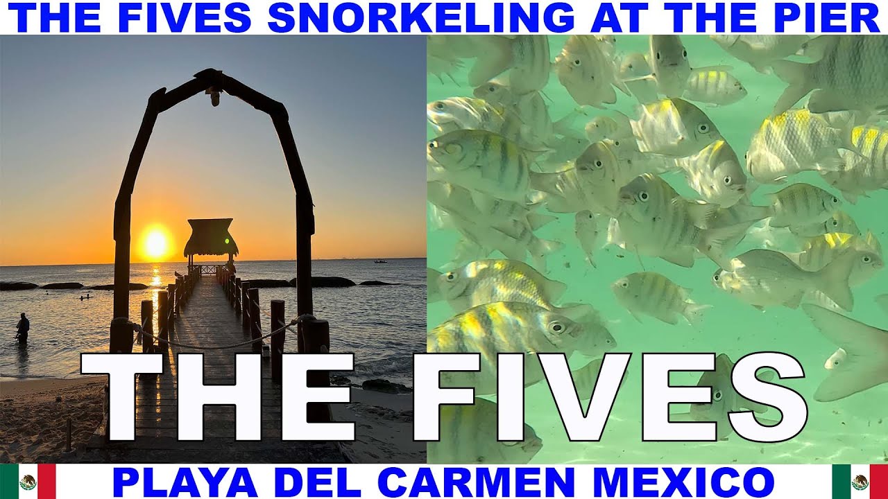 Отель и резиденции Five Beach: сноркелинг на пирсе - Плайя-дель-Кармен - Мексика - Привет, Пэнджи!