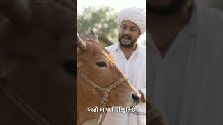 This Animal Also Has A Soul Inside It, Just Like Us. Dont Cut It, Dont Kill It.