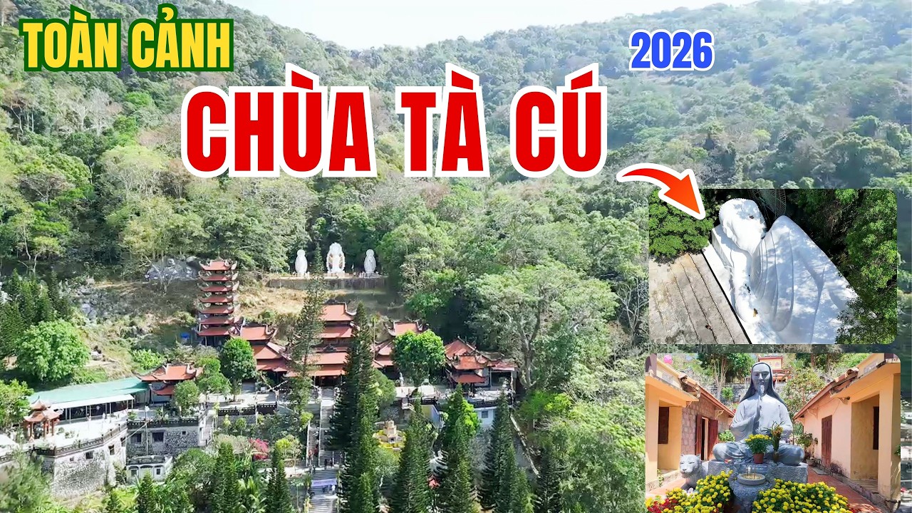 Toàn Cảnh Chùa Núi Tà Cú 2026 – Cập Nhật Giá Vé Cáp Treo & Kinh Nghiệm Tham Quan Mới Nhất ❤️