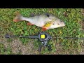 I went back the next day! Fishingfans D1/BEARKING YURI BFS