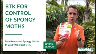 BTK for Control of the Spongy Moth
