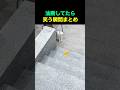 油断してたら笑う瞬間まとめ🤣😂🤣