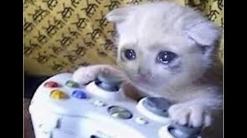 Csgo 1v1 HvH │Neverlose Vs Otv4 (Free Config)