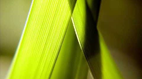 سورة القدر للشيخ احمد العجمي