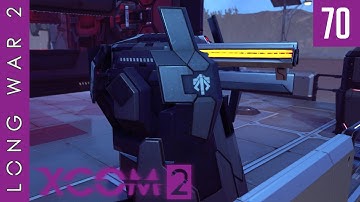 Rapid Reaction - Let