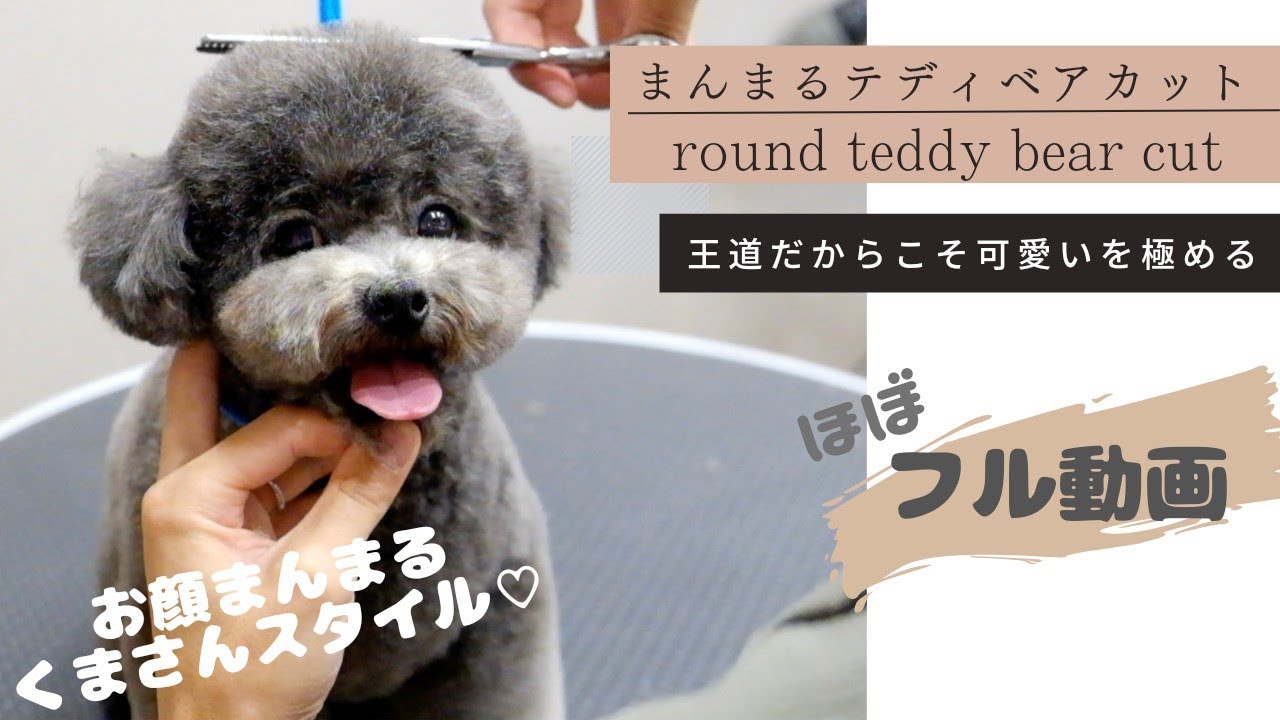 【ほぼフル動画】基本のき！愛されまんまるベア♡